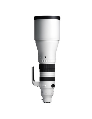 Sigma 300-600mm F4 DG OS Sports Sony E